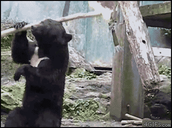 06f3697d92b9bbddf06dbdae4aaaad3d.gif