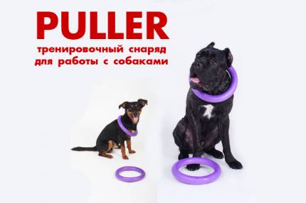 Интернет магазин товаров для собак "Волча" C5e7c0f05318d242874d1d6595392419