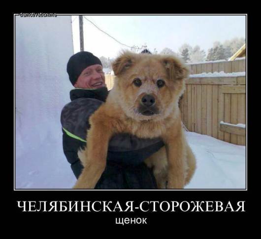 http://s6.hostingkartinok.com/uploads/images/2013/04/3c5020c696b88656110f9fabffa64dfd.jpg