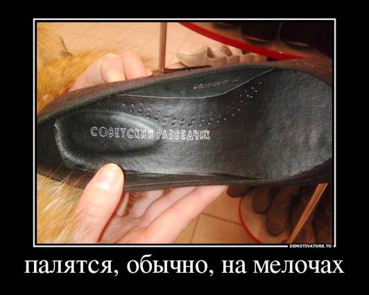 http://s6.hostingkartinok.com/uploads/images/2013/04/52d61de897bb0f2f03d51cf53e9601a2.jpg