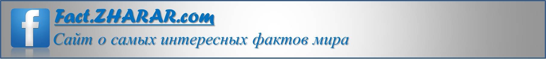 Самые интересные факты мира
