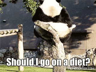 9f2748fbd0e4eb8e79e17e77acf45c08.gif