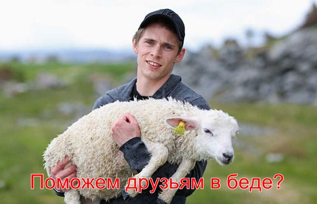 Спартак поможет Анжи