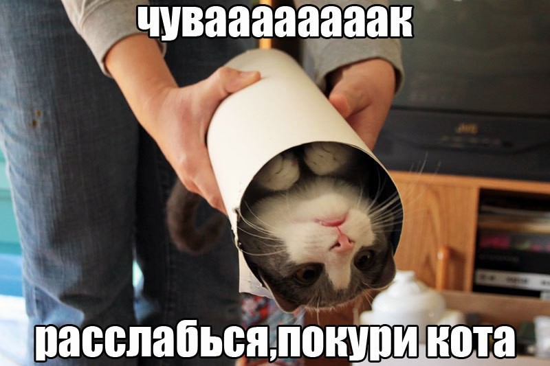 bec23cb5c7e7c1dd7c9defac15222087.jpeg