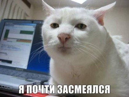 dae0e41f76e7fcfa6e8989e816687dbe.jpg
