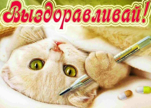 Поздравления с днем рождения солдату - Что подарить Поздравления с днем рождения начальнику