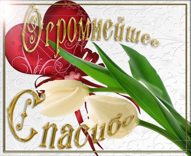 Благодарности в открытках Благодарности в открытках
