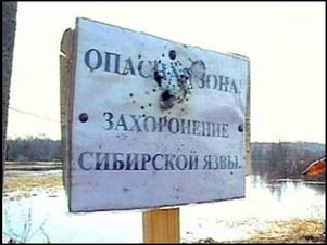 В Омской области сибирской язве противостоят лучшие силы районных и русских докторов