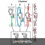 Немного о карабинах A0af578f7207e0b896028ad37712f7e7