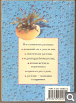 Г. Акимова. Комнатные растения 7a1a43f310785bfffbc220c32c055204