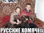Пользователь добавил изображение