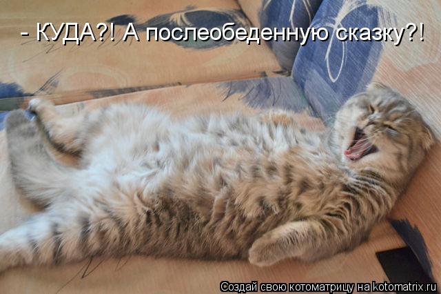 Пришла из магазина и разбудила лентяя Пришла из магазина и разбудила лентяя