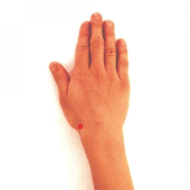 Наружная сторона ладони. Рука тыльной стороной. Лицевая сторона ладони. Тыльная сторона руки. Как называется другая сторона руки.