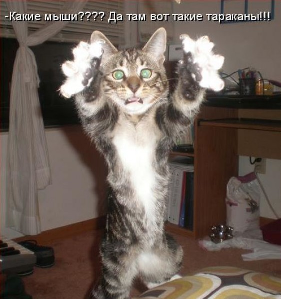 http://s6.hostingkartinok.com/uploads/images/2013/07/5dfe58b9c1b80a94acab57dad4c86bc9.jpg