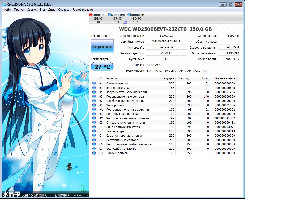 Disk report