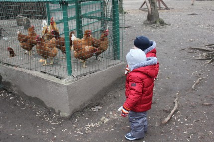 Контактный мини-зоопарк в ЖК Золотые Ключи, ул. Минская 1