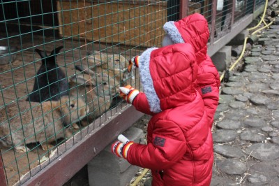 Контактный мини-зоопарк в ЖК Золотые Ключи, ул. Минская 1