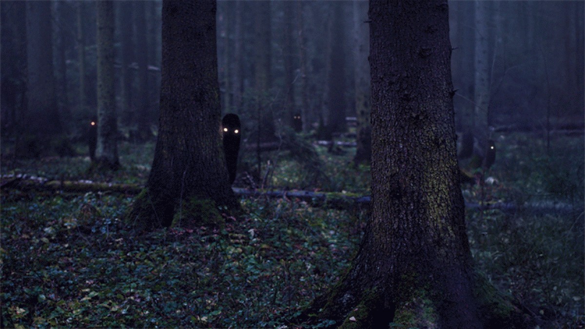 стим черный лес фото 115