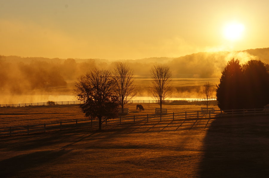 In the early morning he. Early morning. Early morning красивое фото. Early morning winfdowpng. A-ha early morning.