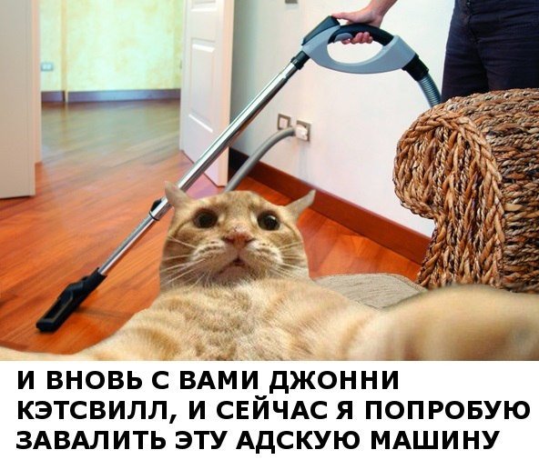 http://s6.hostingkartinok.com/uploads/images/2014/01/3d9a69bd3c65157108b3cd0e3c360425.jpg